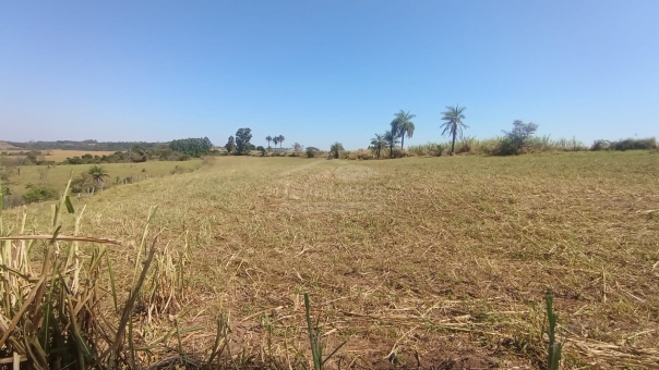 &Aacute;rea Rural no munic&iacute;pio de Prat&aacute;polis